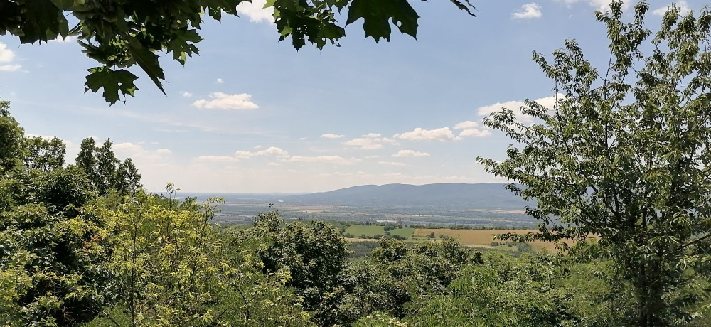 Szendehely