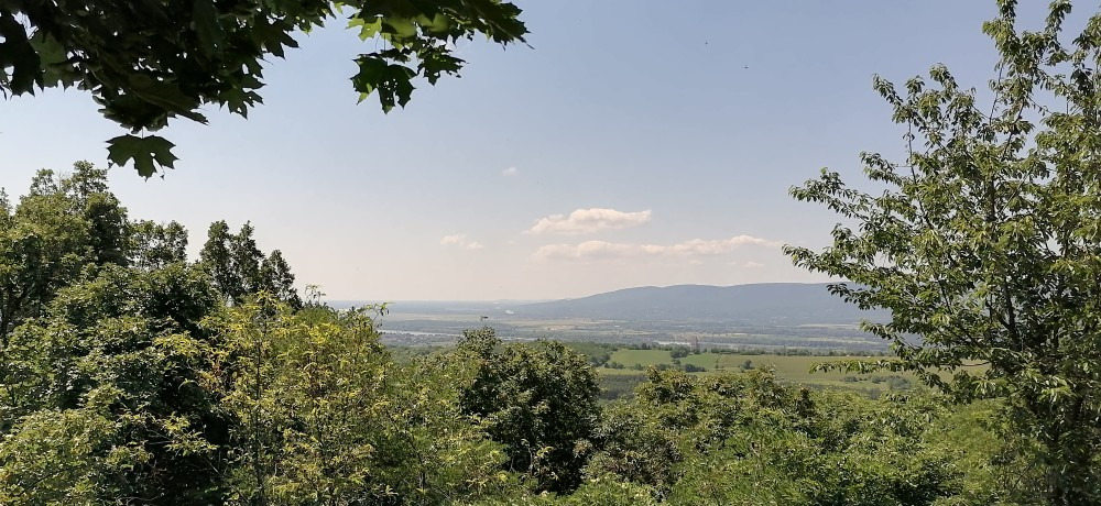 Szendehely