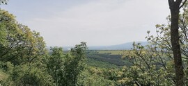 Szendehely