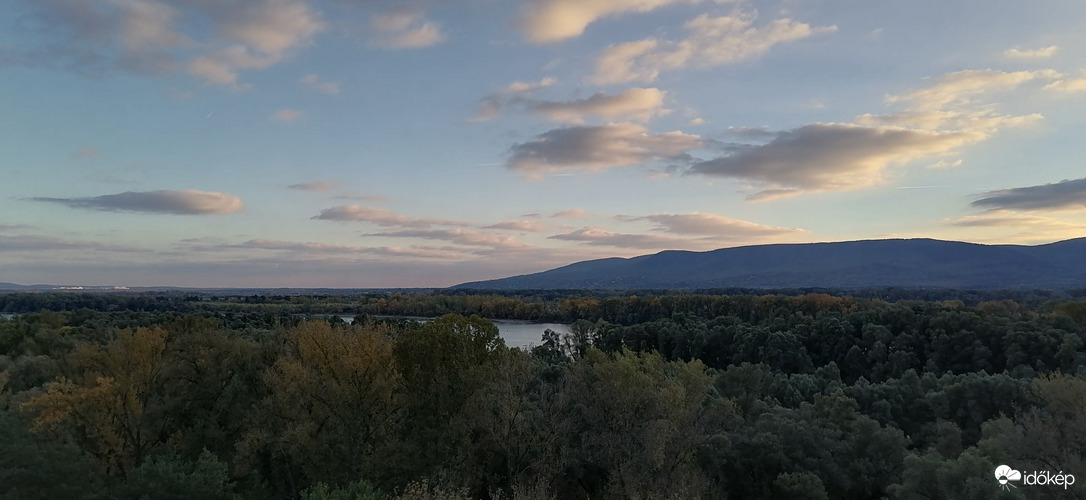 Vác-Nyulas