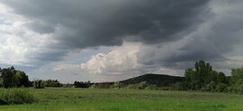 Vác-Nyulas