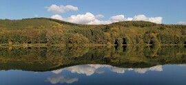 Nőtincs