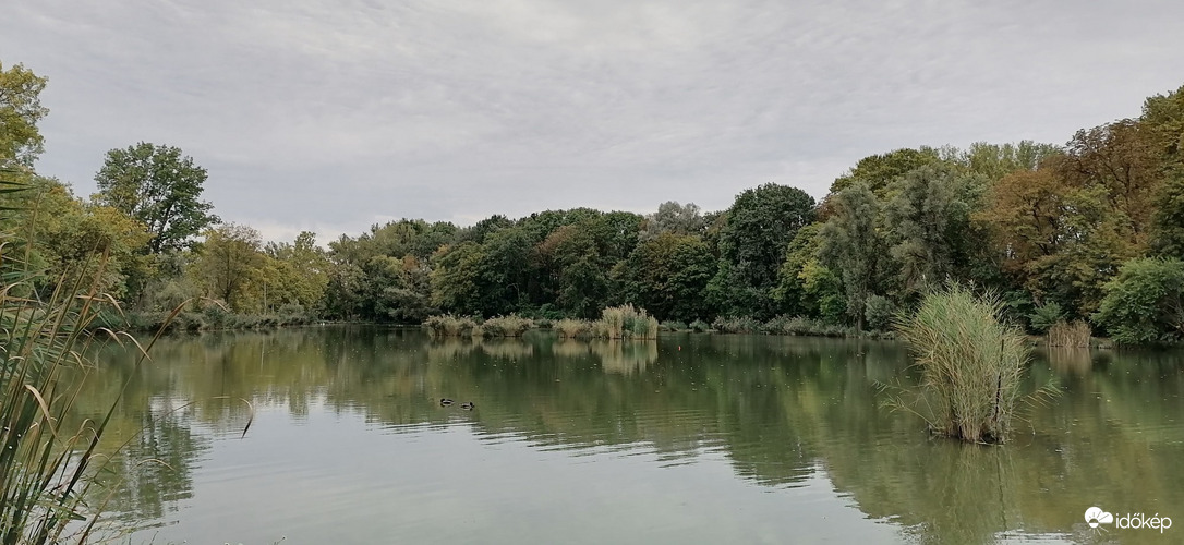 Vác