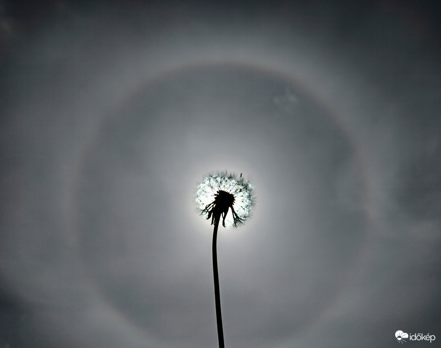 Naphalo a zápor után