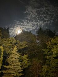 Budapest XII.ker - Németvölgy