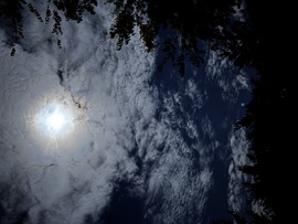 Budapest XVIII.ker - Pestszentimre