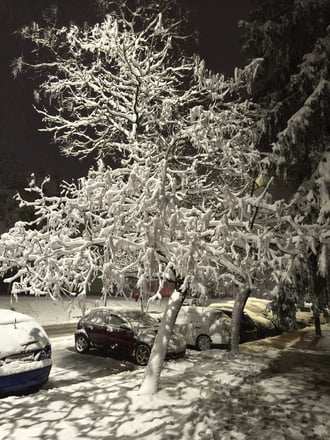 Amikor a fa àgai hóból vannak. :)