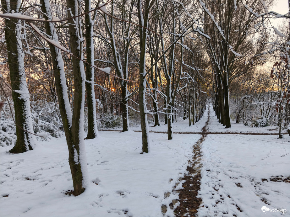 ... a titkos ösvények előbukkantak ...