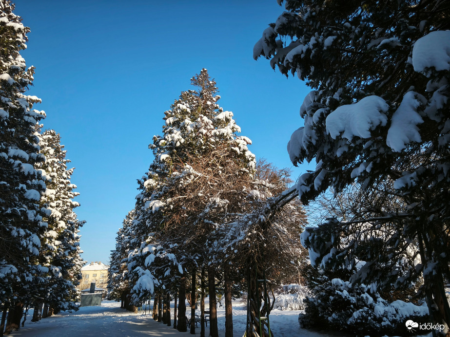 Kaposvár Szabadság park 5