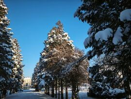 Kaposvár Szabadság park 5