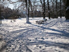 Kaposvár Szabadság park 4