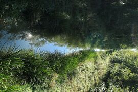 Eger-víz nevű patak Szigligetnél a főútról fotózva