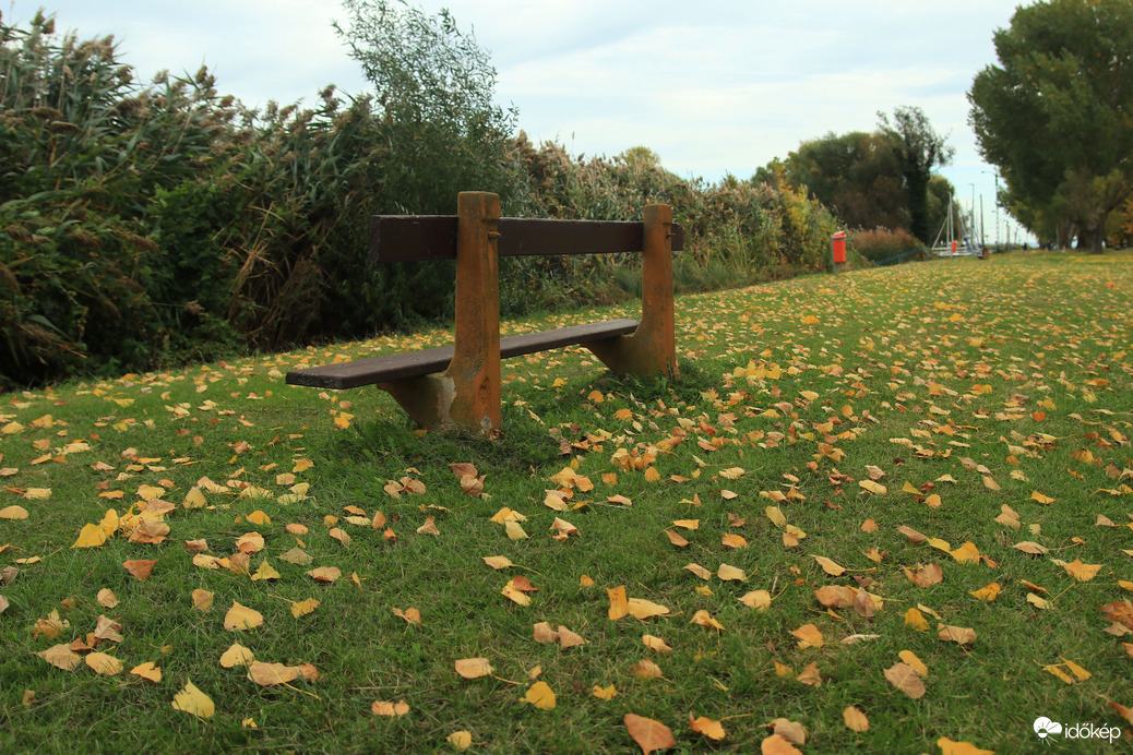 A nádi rigó megfigyelésére tökéletes ez a pad választás, bár a Balaton északi partja itt a fantáziánkra van bízva.