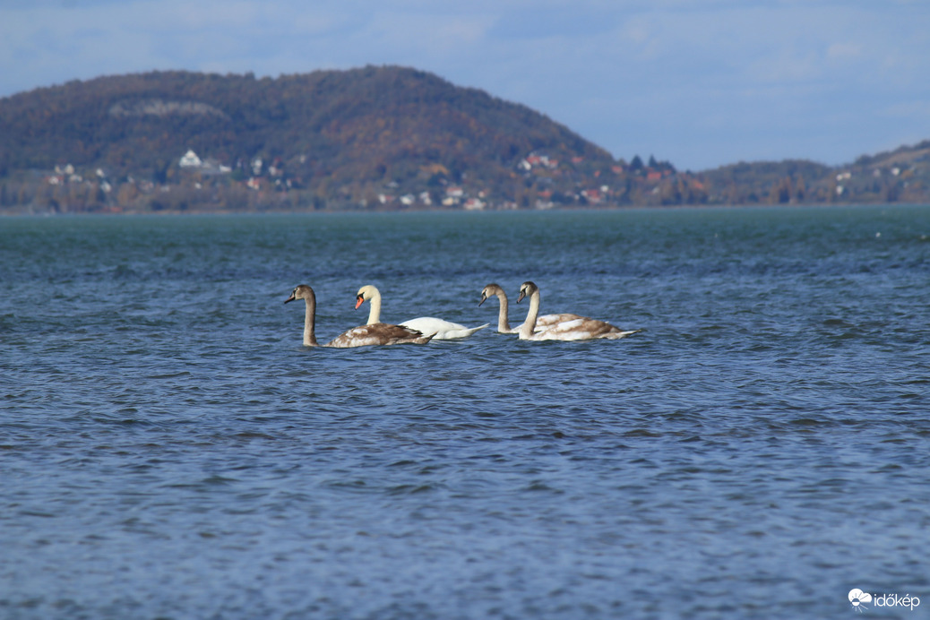 ... a koszosak a gyerekekek. 