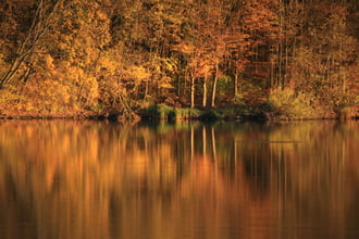 ... őszi színek ...