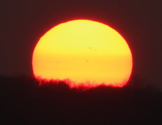 Szeplős Nap. ... jaa azok nem madarak ...