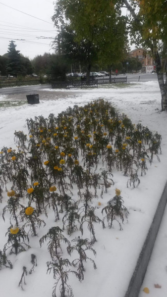 Hirtelen jött tél a dél- szibériai őszben