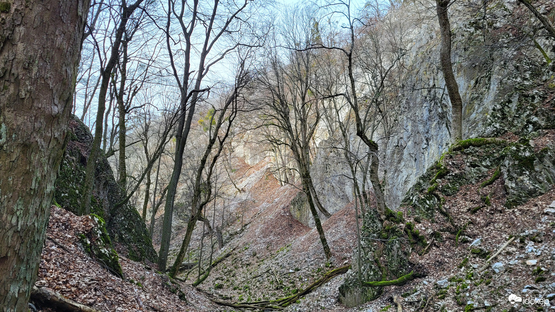 Szurdokvölgy