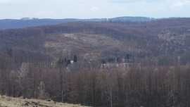 Jávorkút