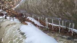 "Oszlopcsarnok"