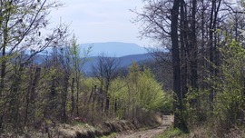 (valóban) Kékes