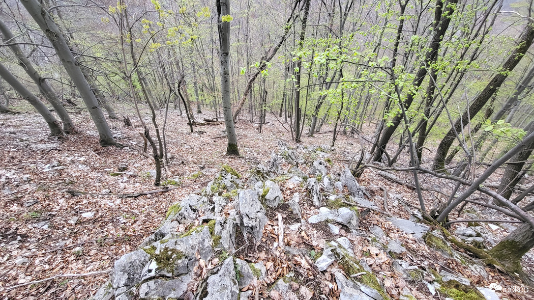 Sziklamező
