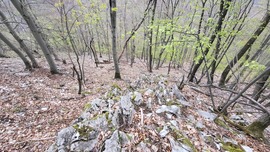 Sziklamező