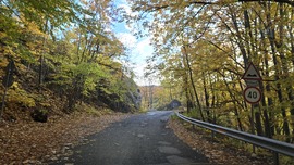 Mályinkai úton (2513.sz út)