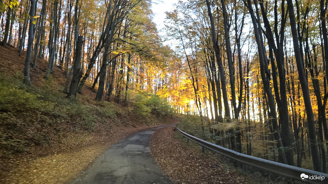 Mályinkai úton (2513.sz út)