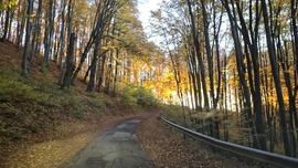 Mályinkai úton (2513.sz út)