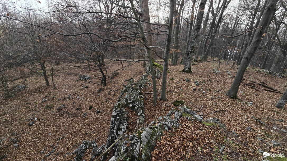 Kettős-bérc északi csúcs (tszf 958m) sziklája