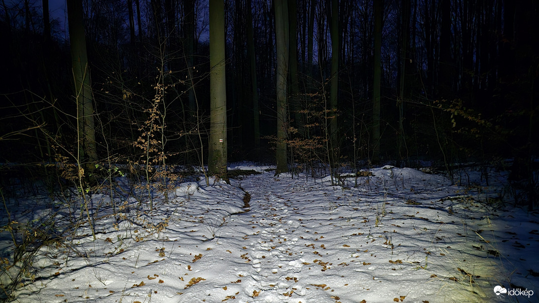Téli erdő