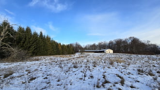 Lipicai nyári szállás (üres)