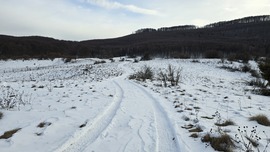 Kanyargós út a rengetegbe