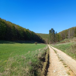Huta-rét