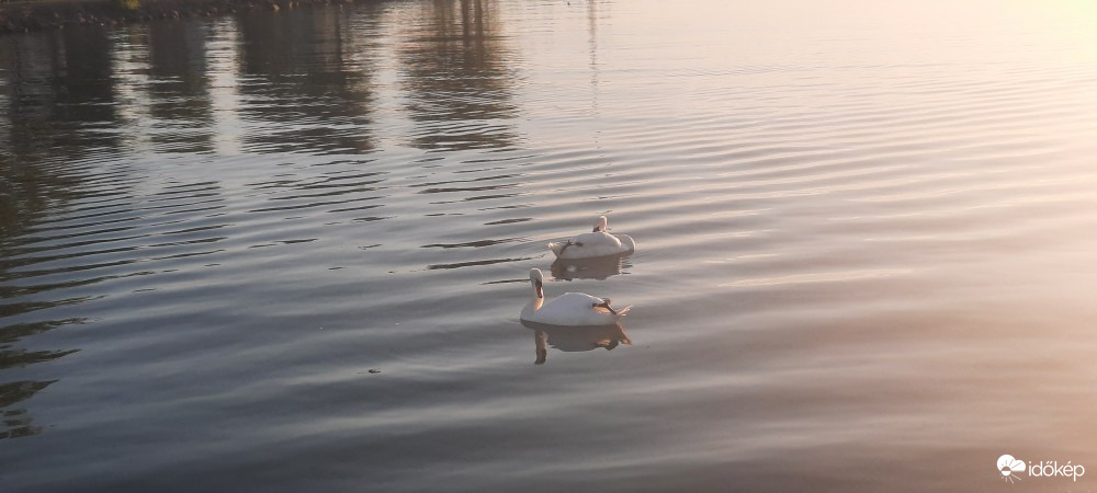 Balatonboglár