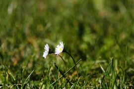 Süss ránk napocska :)