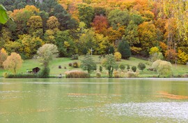 Őszi pompában a zalacsányi horgásztó