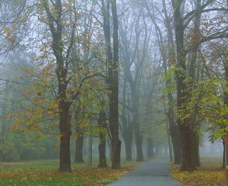 Beült hozzánk a köd