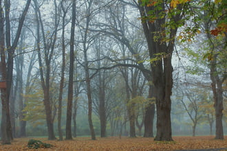 Köd előttem, köd mögöttem