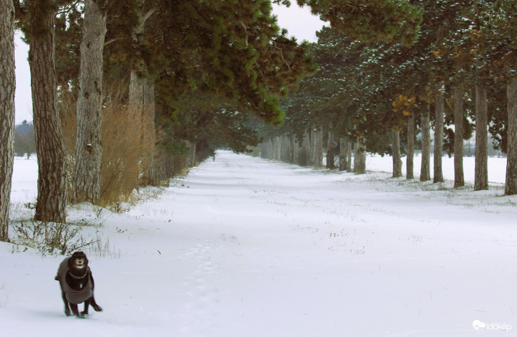 Vigyázat!!! Ez hosszú fékút lesz 