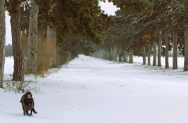 Vigyázat!!! Ez hosszú fékút lesz 