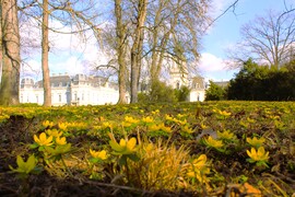 Keszthely, Festetics-kastély park. Téltemetők