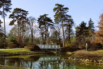 Festetics-kastély park