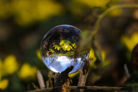 Téltemetők gömbbe zárva