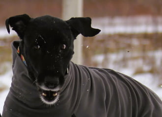 Jól hallom? Jövő héten már nem kell pulcsi?