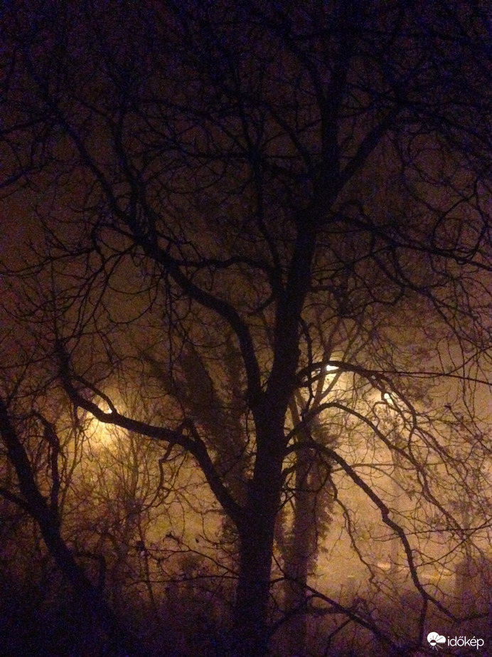 városi köd