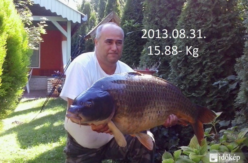  Ráckevei Duna Óriása