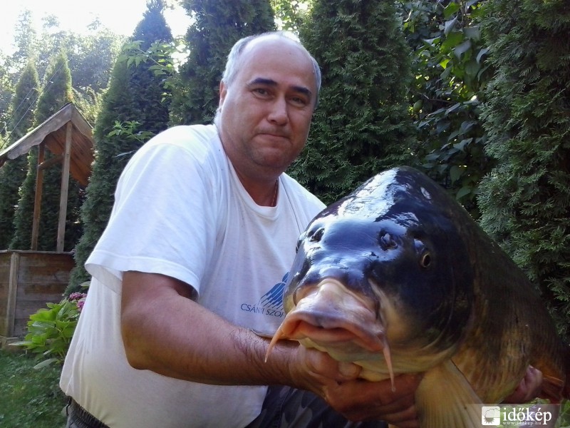 Szemből nézve. 2013.08.31  15,88-kg