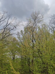 Kisgyőr